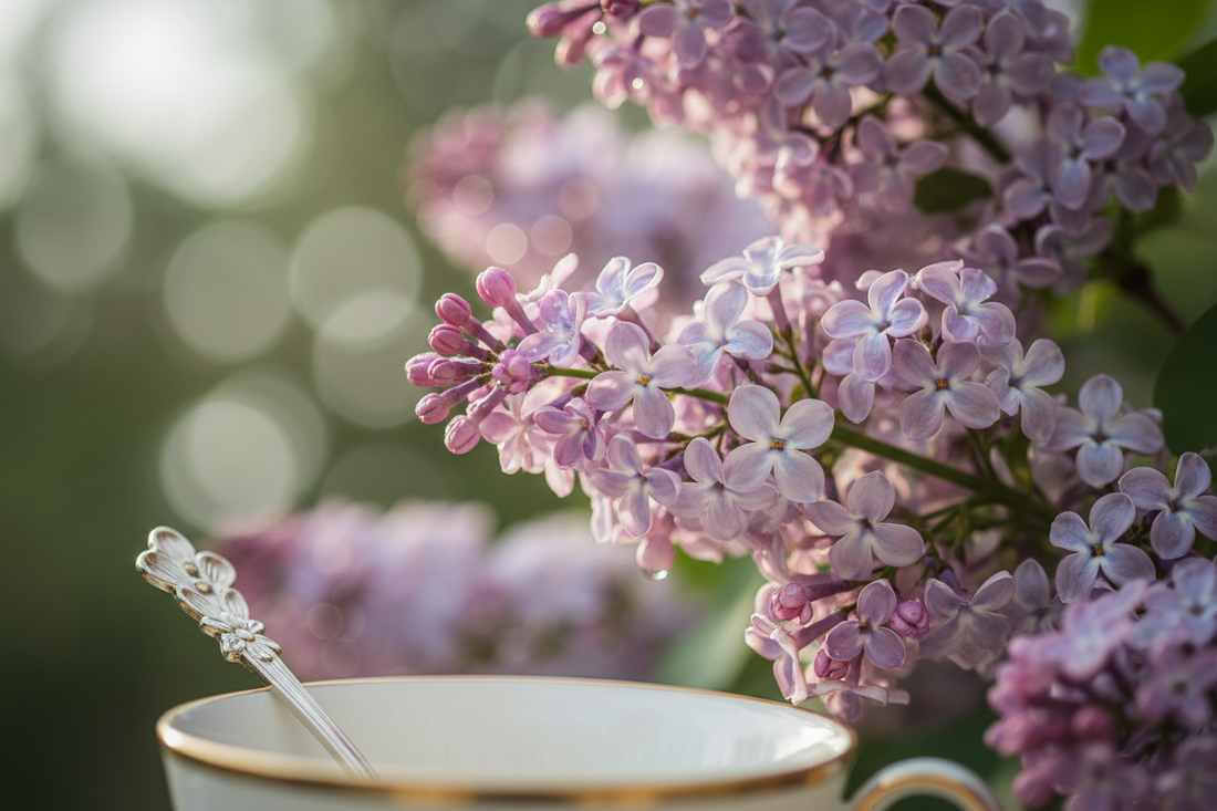 Potions de Printemps :  Recette de Sirop Simple au Lilas & Rituel Floral